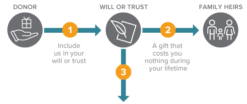 This diagram represents how to leave a gift through your will or trust – a gift that costs nothing during lifetime.